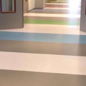 Hygienic Vinyl Sheet HVS